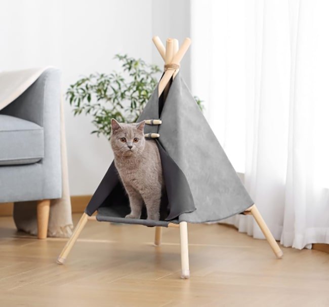 Home Marketplace2 46 hotspot-carusel-cat-tent-opt-opt