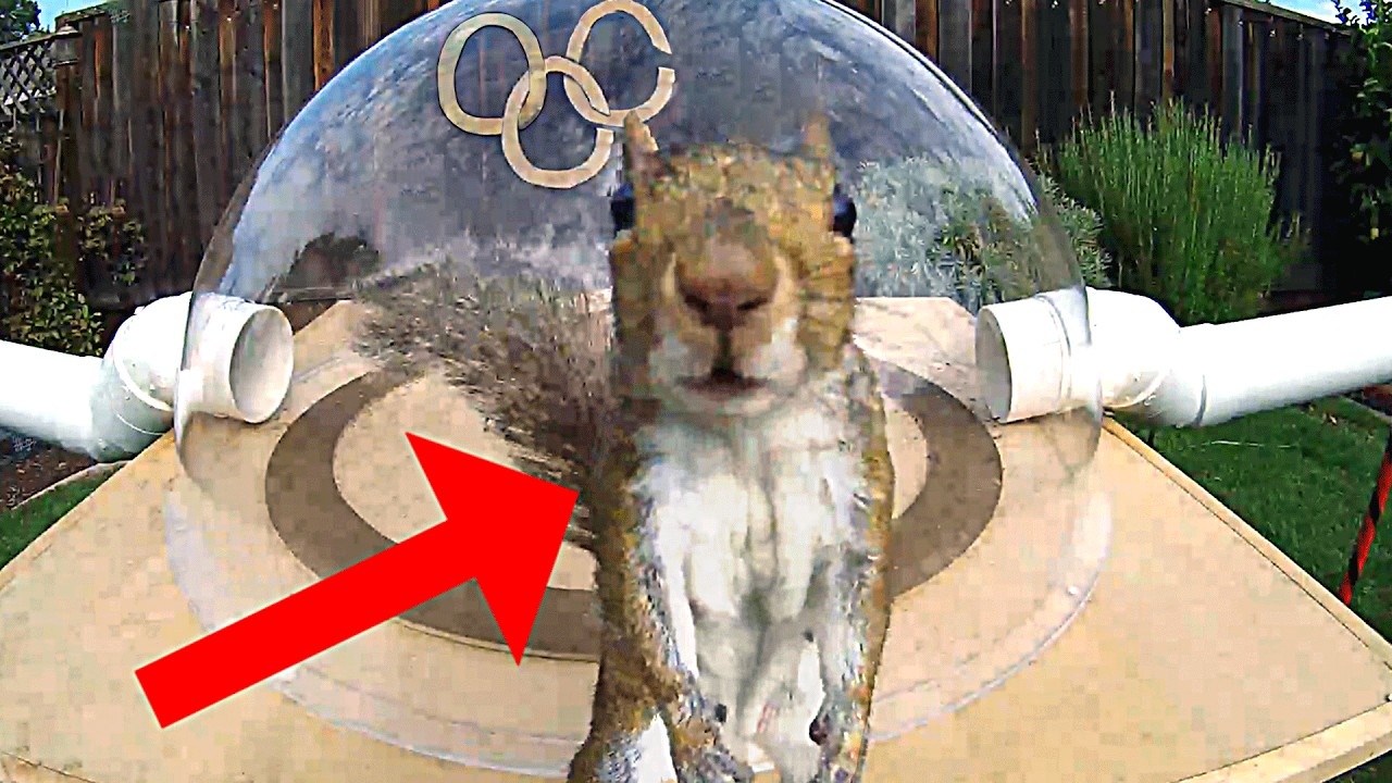 MarkRober-Backyard Squirrelympics 3.0- The Summer Games