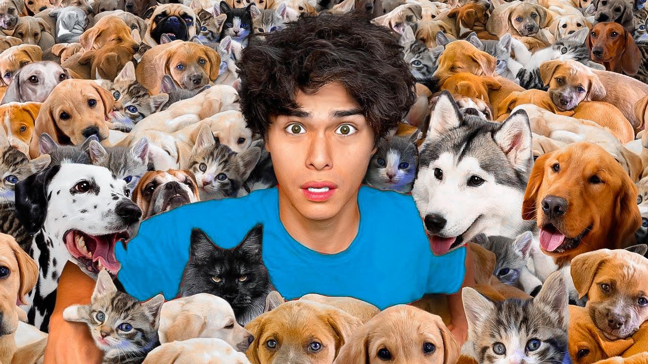 MarkRober-I Adopted 100 Dogs!